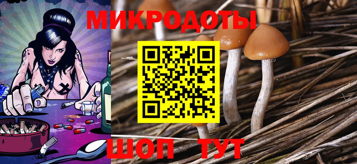 Галлюциногенные грибы GOLDEN TEACHER  Вход с VPN  Псилоцибиновые грибы мицелий  Нурлат 